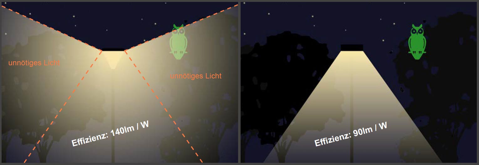 unnoetiges licht artenschutz